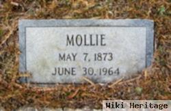 Mary Elizabeth "mollie" Richardson