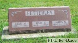 James Nelson Fetterley