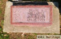 Duane A. Holsapple