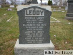 James W Leddy