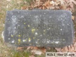 Delos J. Hollenbeck