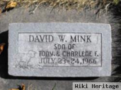 David Wayne Mink