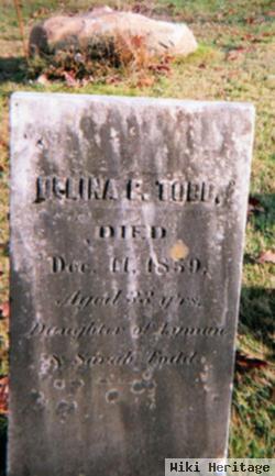 Delina Todd