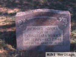 Richard Adams Womack