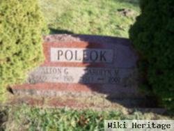 Alton G Pollok