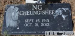 Ng Cheung Shee