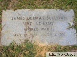 James Delmas Sullivan