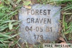 Forest Craven