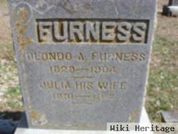 Julia Hoyt Furness