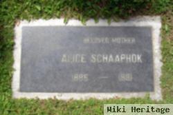 Alice Schipper Schaaphok