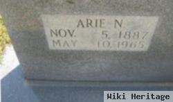 Arie N. Hogan