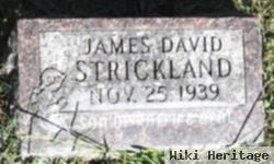 James David Strickland