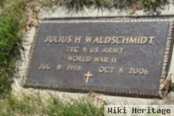 Julius Henry Waldschmidt