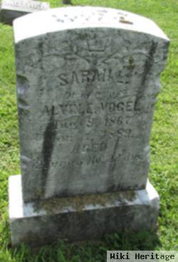 Sarah E Vogel