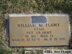 William M Plant