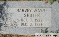 Harvey Wayne Shuler