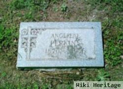 Angerene Wright Perkins