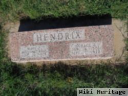 Horace Greely Hendrix