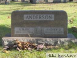 Andrew D Anderson