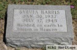 Sylvia Harris