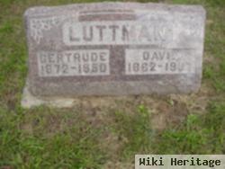 David C Luttman