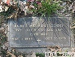 Pvt James Meladus Goins