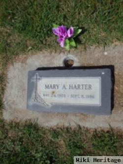 Mary Ann Harter