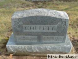 Harriett G. Chilson Collett