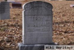 Terry Julian "ted" Williams