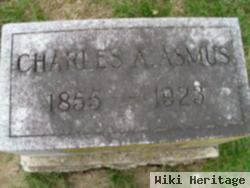 Charles Augusta Asmus