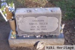 Amos Tiger