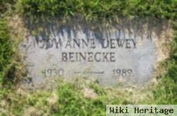 Joy Ann Dewey Beinecke