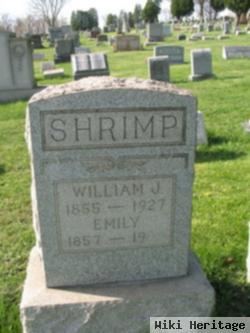 William James Shrimp