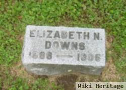 Elizabeth N. Downs