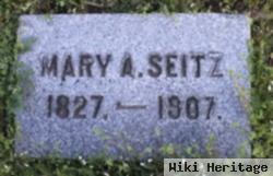 Mary Ann Steinberger Seitz