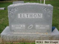 Lillian Gertrude Tweed Elthon