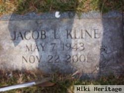 Jacob L Kline