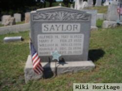 Mary F Saylor