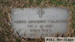 Joseph Anthony Colicchio