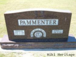 Steve B. Pammenter