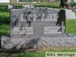 David Bumgarner