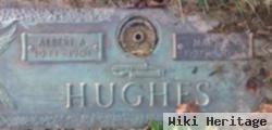 Mary J Hughes