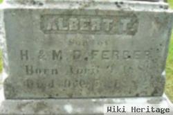 Albert T Ferber