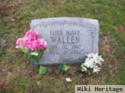 Eliza Miser Gibson Wallen