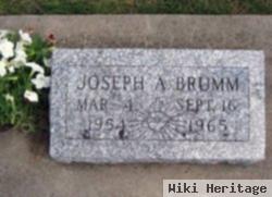 Joseph A Brumm