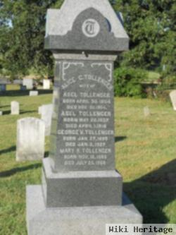 Mary A. Reisler Tollenger