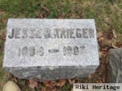 Jesse B Krieger