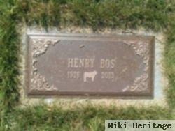 Henry P Bos