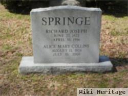 Alice Mary Collins Springe