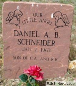 Daniel A B Schneider